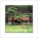 White Pine Lodge