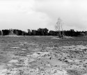 Florida Everglades