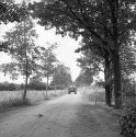 Westerhoven