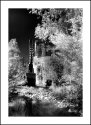 The Old Mill