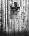 Old Window
