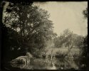 Medina River - Looking Across