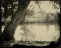 Medina River - rope swing and cypress
