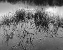 After The Rain