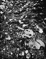 In The Mine Debris, Holden Village