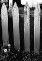 Picket Fence