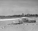 beach(ed)wood