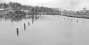 "View of the slough"