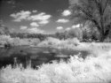 Efke 820 Aura IR Images a Lake Oconee near Hendersonville, NC.