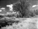 Efke 820 Aura IR Images a Lake Oconee near Hendersonville, NC.