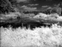 Efke 820 Aura IR Images a Lake Oconee near Hendersonville, NC.