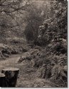 Park Woestduin