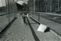 Empty Summer