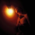 Grow light, grow rosebud