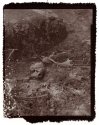 Raby Castle Salt Prints