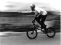 bmx1