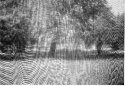 Through a screen darkly