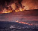 Field Burn