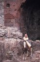 In the Ruins