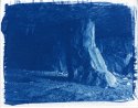 Quarry 3