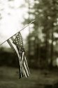 Dime-store flag