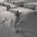 Beach Fence, Pea Island, NC