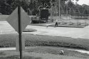Summer Winding Down