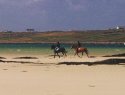 Training horses on Omey strand, Co Galway, Ireland