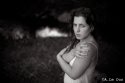 Aurelia