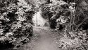 Garden exit
