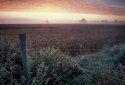 Various images from Ireland