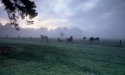 Various images from Ireland