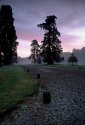 Various images from Ireland