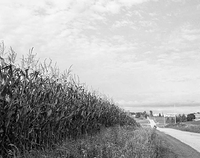 What's there to lose