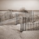 Beach Fences, Pea Island, NC