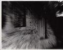 Shed Dreamlike