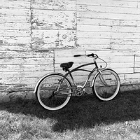 Country Fair (Bicycle) 2010
