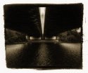 Vandyke Brown print