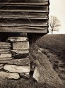 Edge of Barn