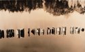 Oxbow Pilings