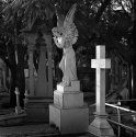 Angel of silence
