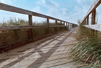 The Boardwalk