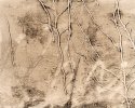 Tendrils