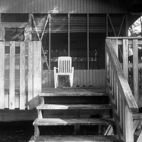 Ubiquitous white ...