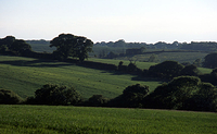 Field, Brading