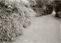 Kubotoa Gardens #1 - Seattle