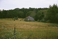 On a walk with my wife