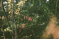 On a walk with my wife