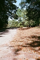 On a walk with my wife