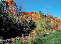 Morningside Park, Toronto